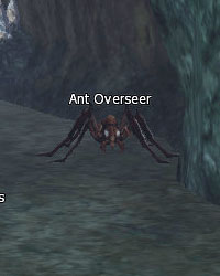 Ant Overseer