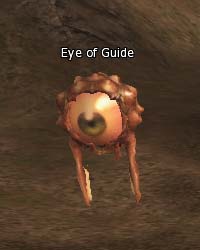 Eye of Guide