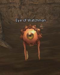 Eye of Watchman