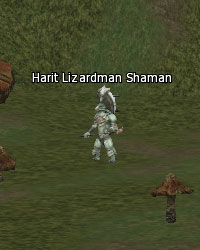 Harit Lizardman Shaman