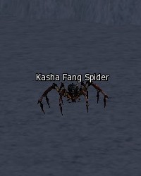 Kasha Fang Spider