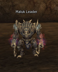 Maluk Leader