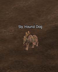 Sly Hound Dog