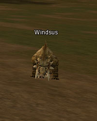 Windsus