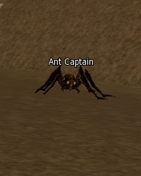 Ant Captain