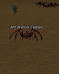 Ant Warrior Captain