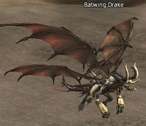 Batwing Drake