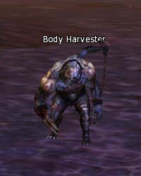 Body Harvester