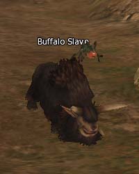 Buffalo Slave