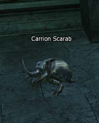 Carrion Scarab