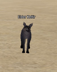 Elder Keltir