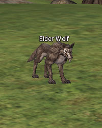 Elder Wolf
