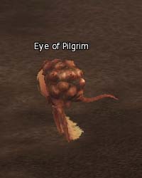 Eye of Pilgrim