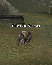 Fallen Orc Shaman