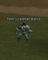Felim Lizardman Warrior