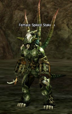 Female Spiked Stakato