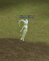Fline Elder