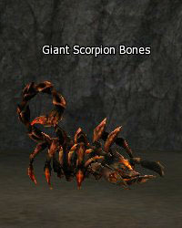 Giant Scorpion Bones
