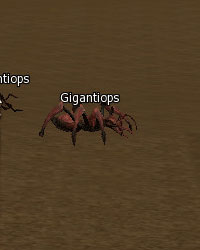 Gigantiops