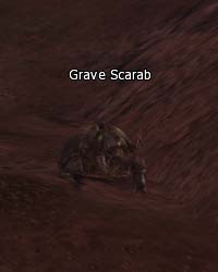 Grave Scarab