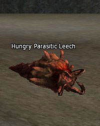Hungry Parasitic Leech
