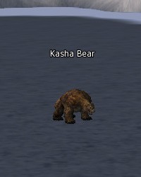 Kasha Bear