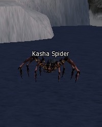 Kasha Spider