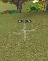 Liele Elder