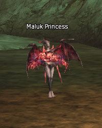 Maluk Princess