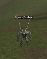 Marsh Stalker