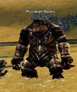 Mucrokian Ascetic