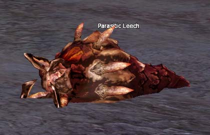 Parasitic Leech