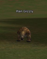 Plain Grizzly