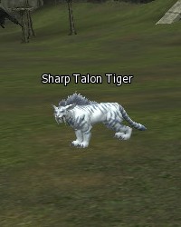 Sharp Talon Tiger