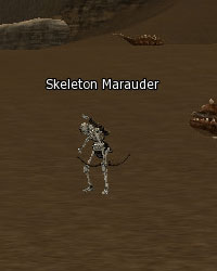 Skeleton Marauder