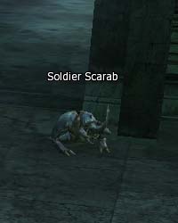 Soldier Scarab