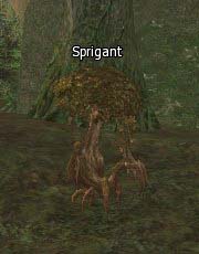 Sprigant