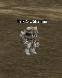 Taik Orc Shaman