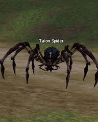 Talon Spider