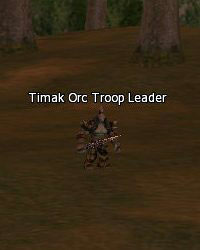 Timak Orc Troop Leader