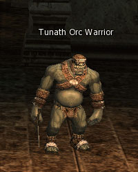 Tunath Orc Warrior