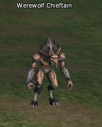 Werewolf Chieftain
