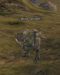 Wild Strider